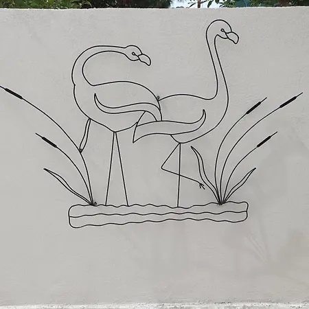 Paradise * أمولياني