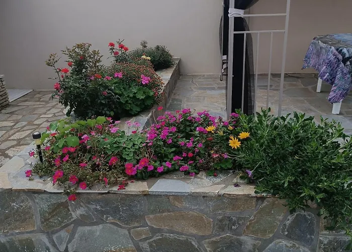 Paradise 度假居 *